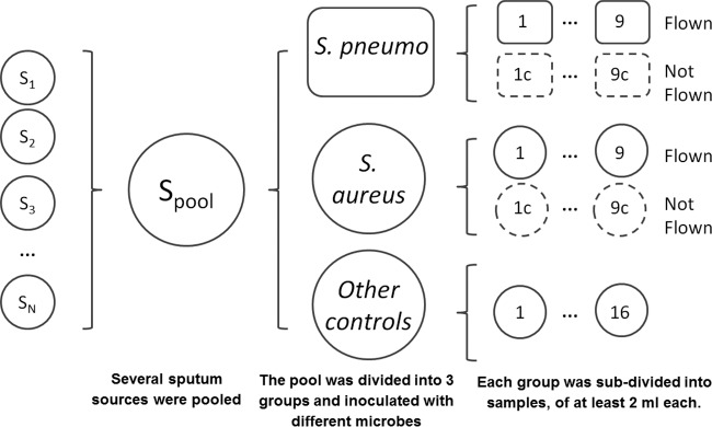 FIG 2