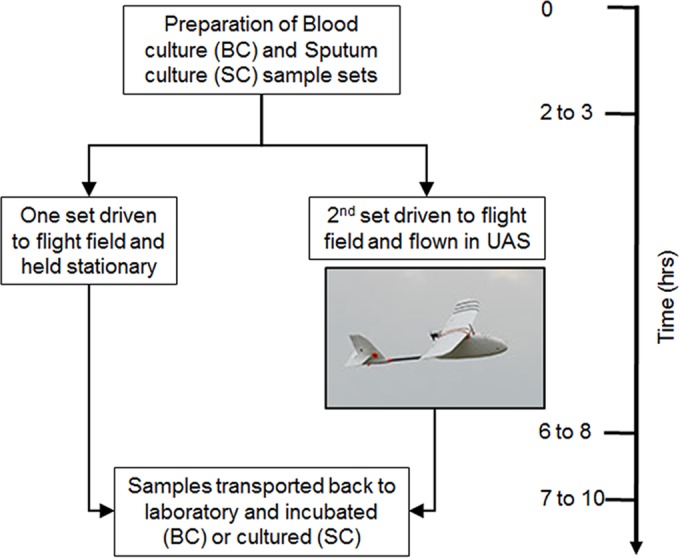 FIG 1