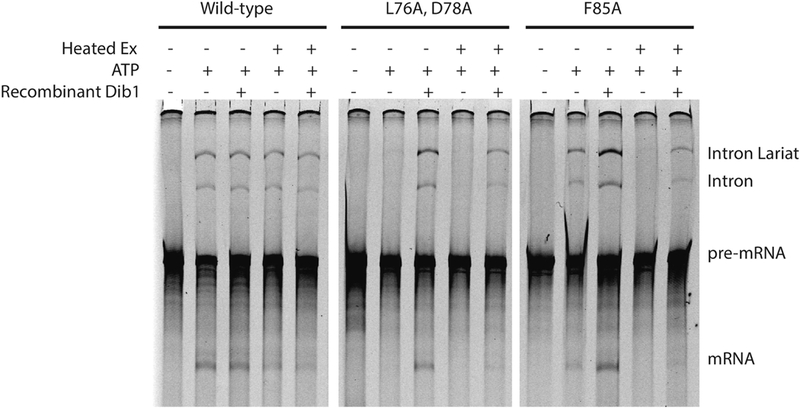 Figure 4.