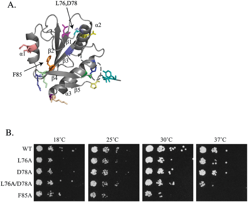 Figure 2.