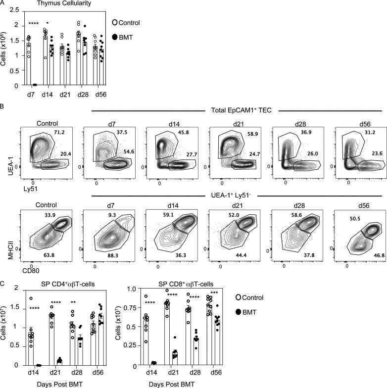 Figure S1.