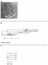 FIG.1.