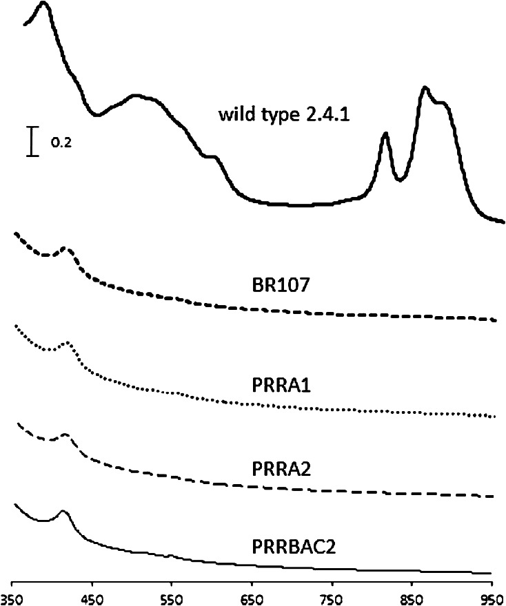 Fig. 2