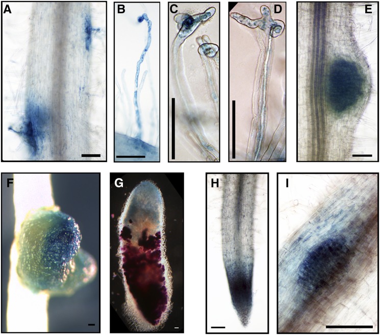 Figure 10.