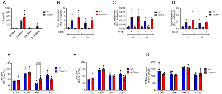 Figure 5