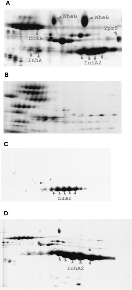 FIG. 3.