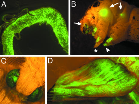 Fig. 3.