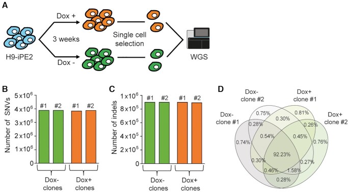 Figure 6.