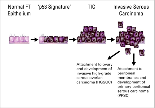 Fig 3.