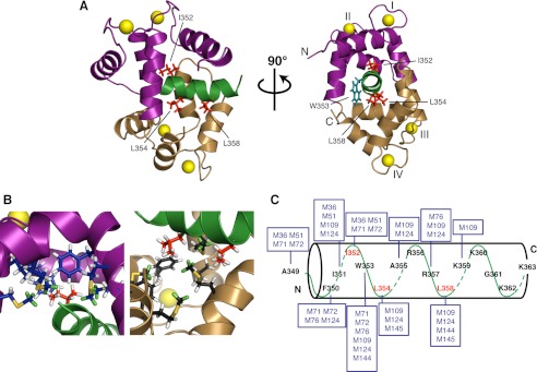 FIGURE 3.