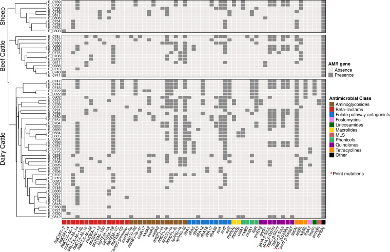 FIG 2