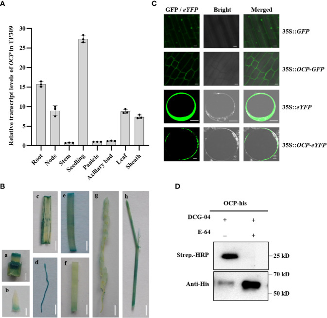 Figure 3