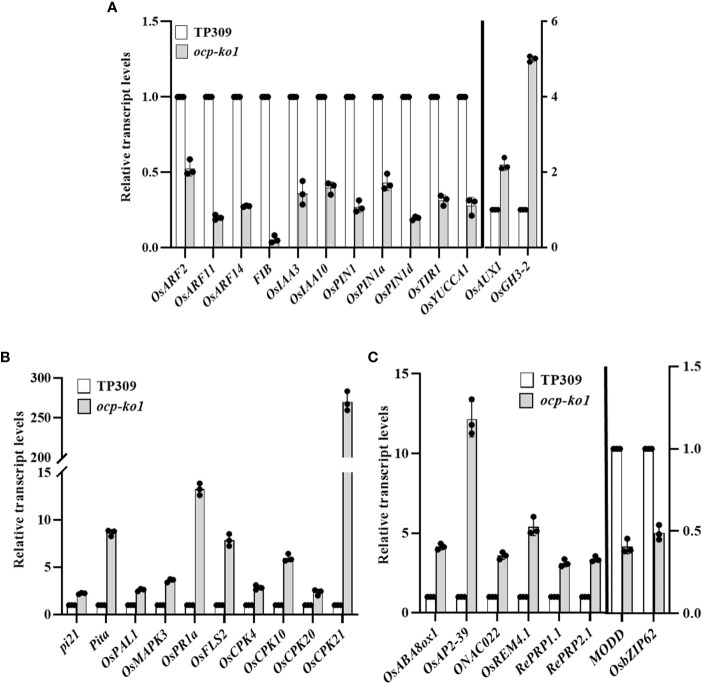 Figure 7