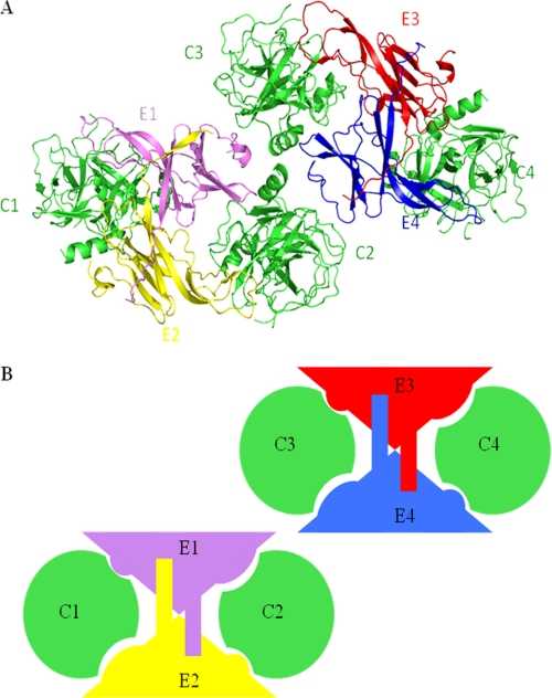 FIGURE 2.