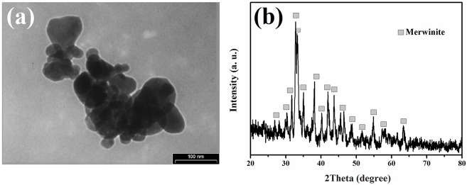 Fig 1