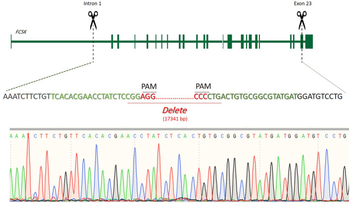 FIGURE 4