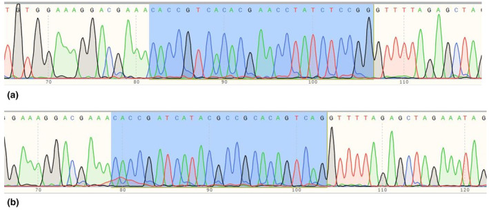 FIGURE 2