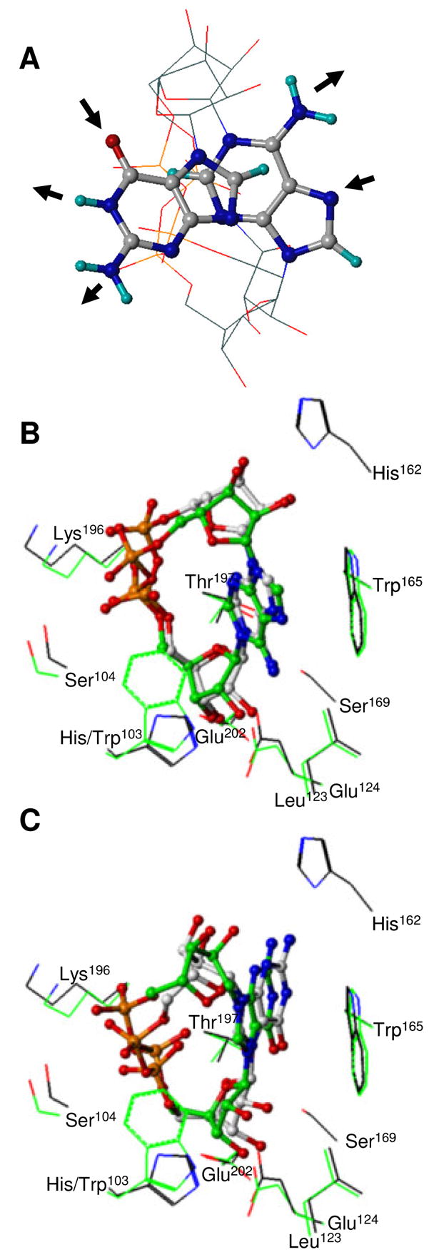 FIGURE 6