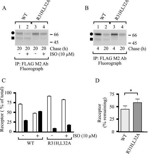 FIGURE 9.