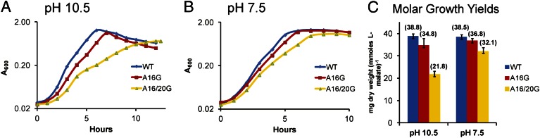 Fig. 7.