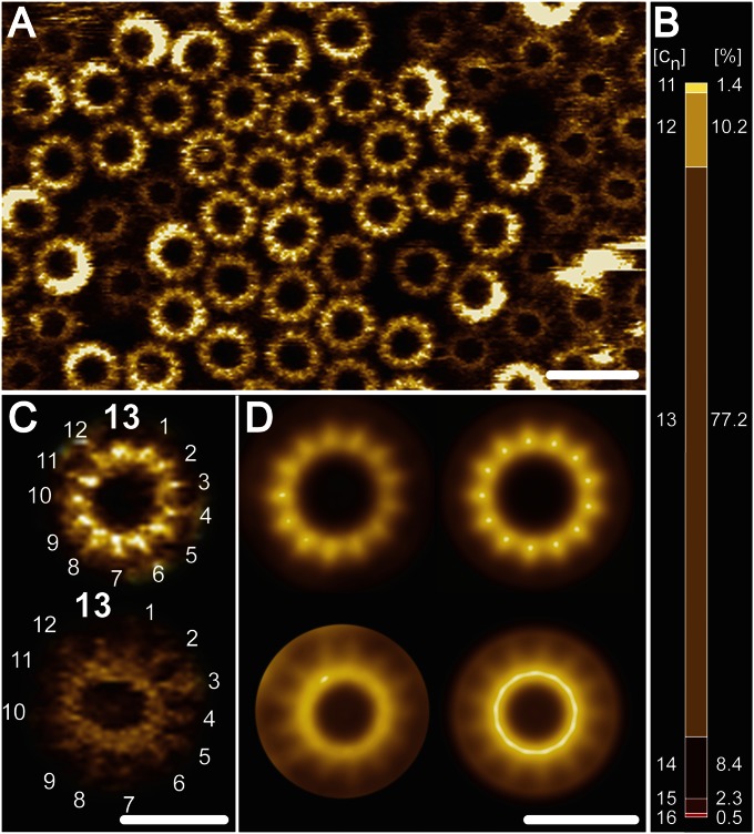 Fig. 4.