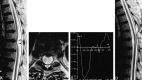 <sc>fig</sc> 2.