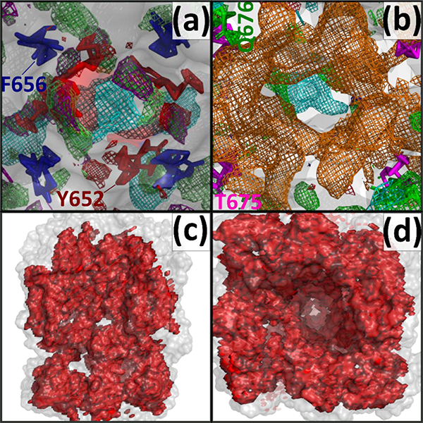 Figure 4.