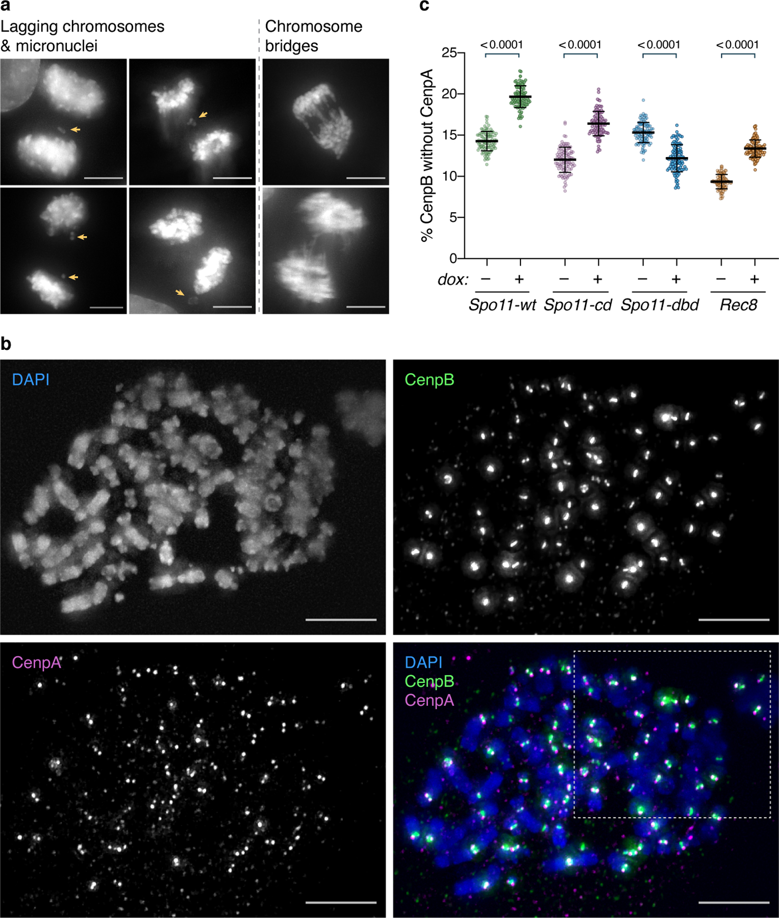 Extended Data Fig. 9.