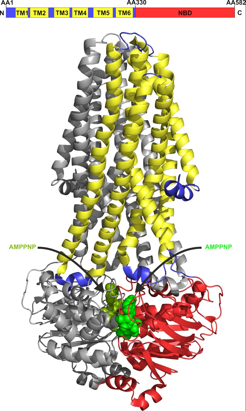 FIGURE 1.