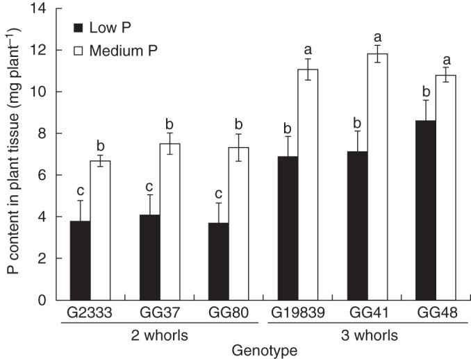 Fig. 7.