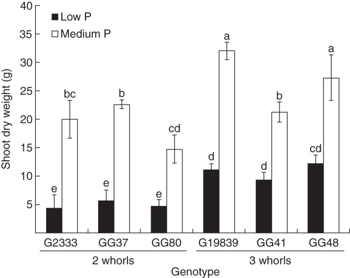 Fig. 6.