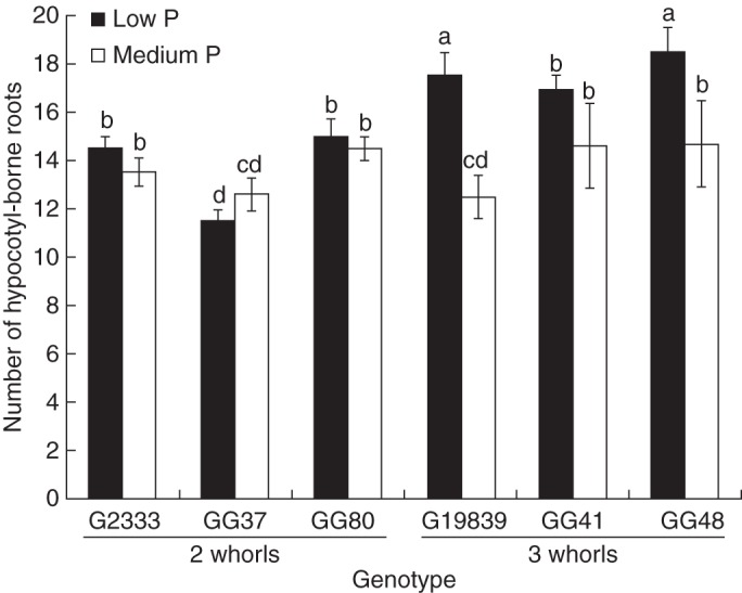 Fig. 9.