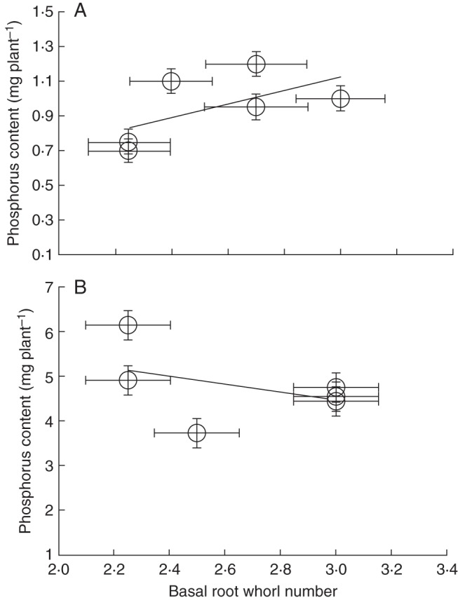 Fig 5.