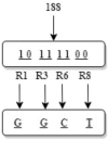 Fig 5