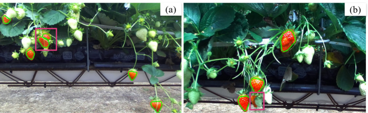 Fig. 12