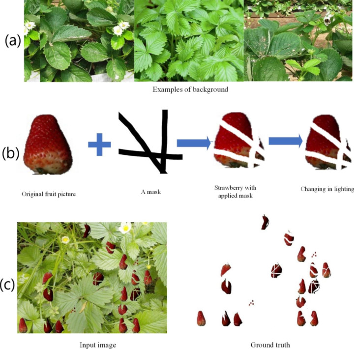 Fig. 2