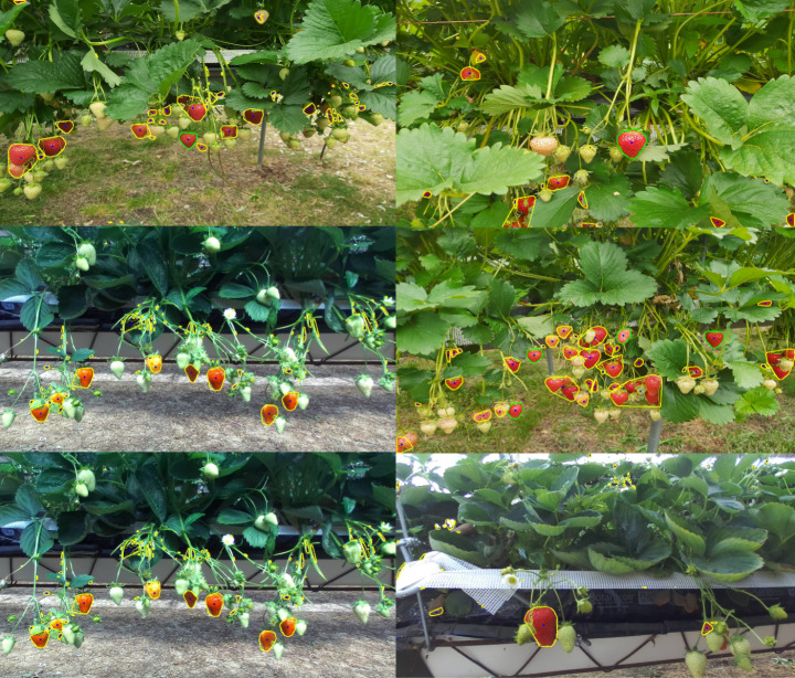 Fig. 8