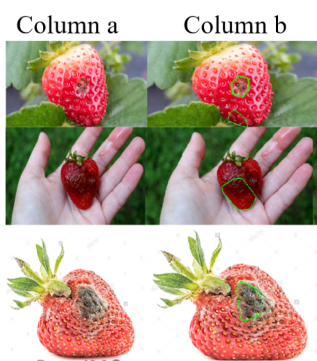 Fig. 17