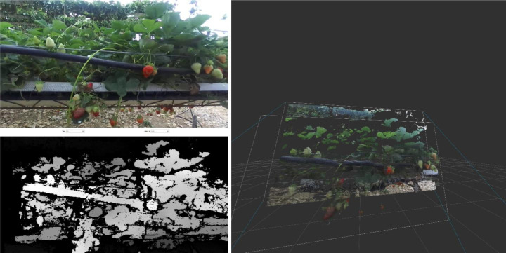 Fig. 19
