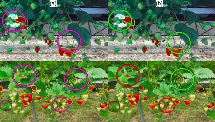 Fig. 10