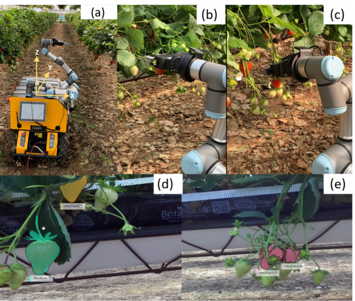 Fig. 16