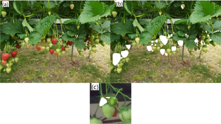 Fig. 9
