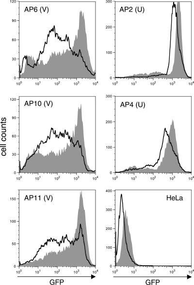 FIG. 4.