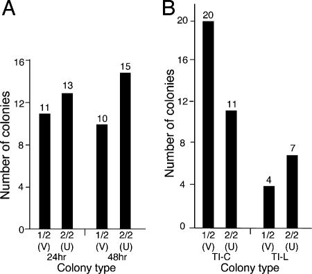 FIG. 8.