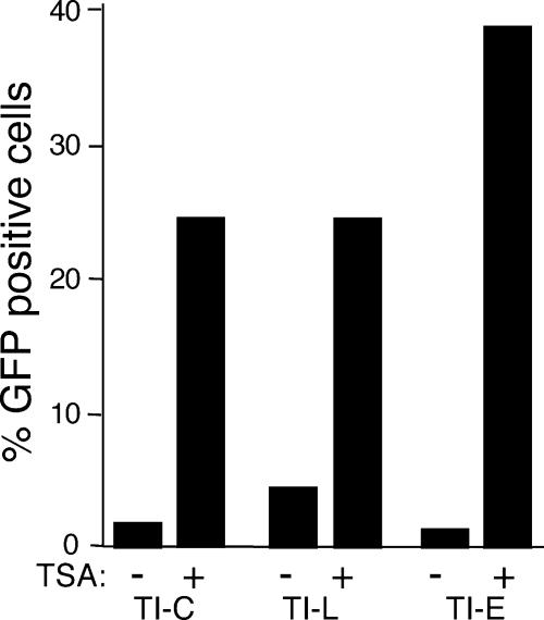 FIG. 5.