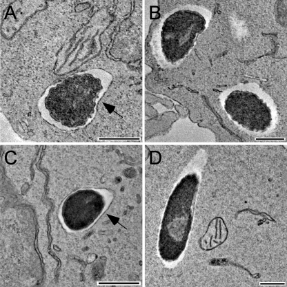 FIG. 5.