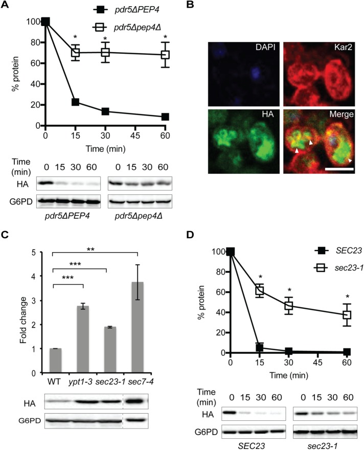 FIGURE 3: