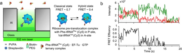 Fig 6