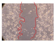 graphic file with name molecules-25-01828-i015.jpg