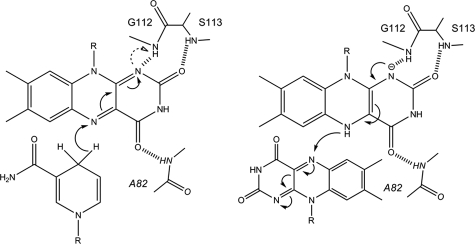 FIGURE 10.